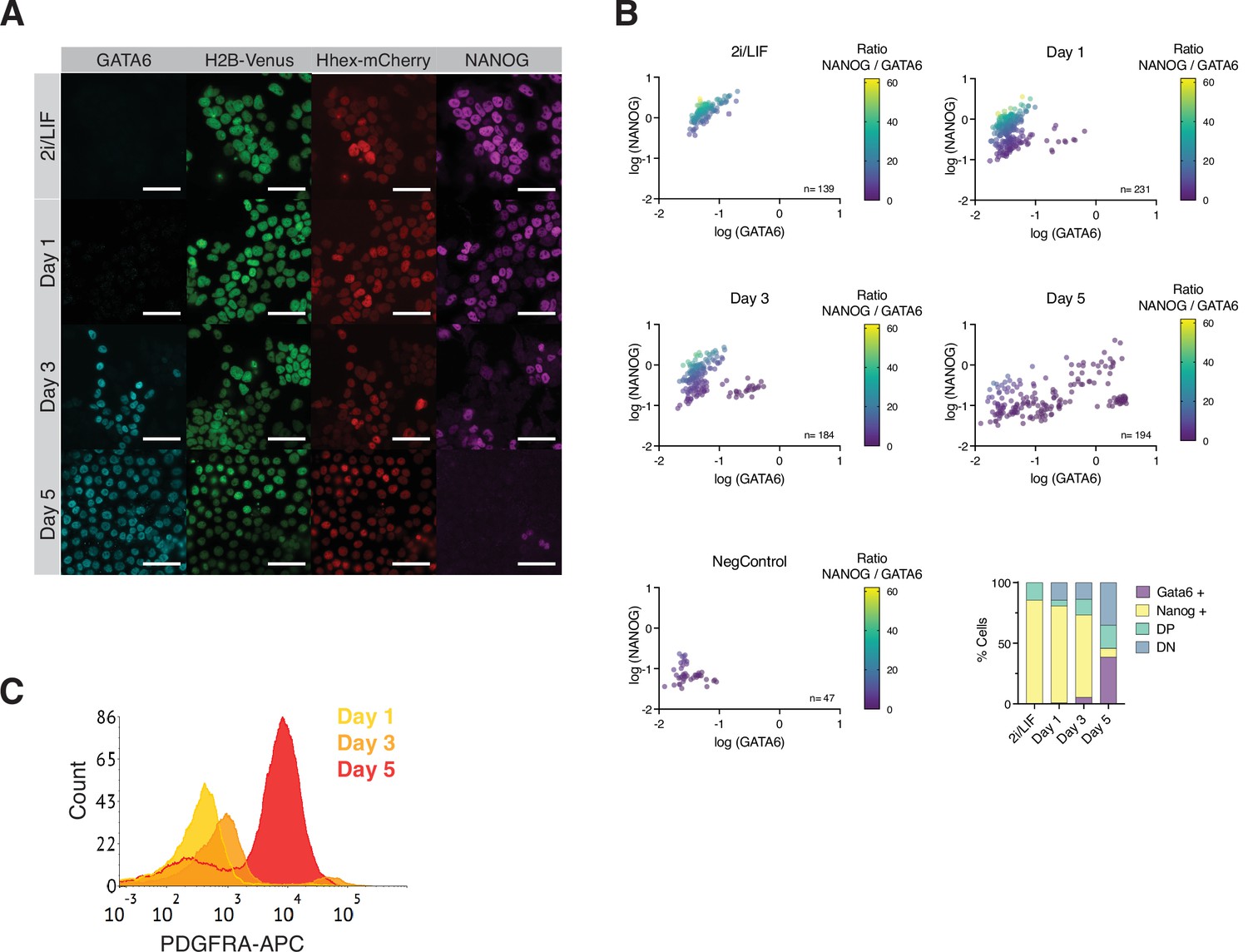 Figures And Data In Transcriptional Heterogeneity And Cell Cycle Regulation As Central 0623