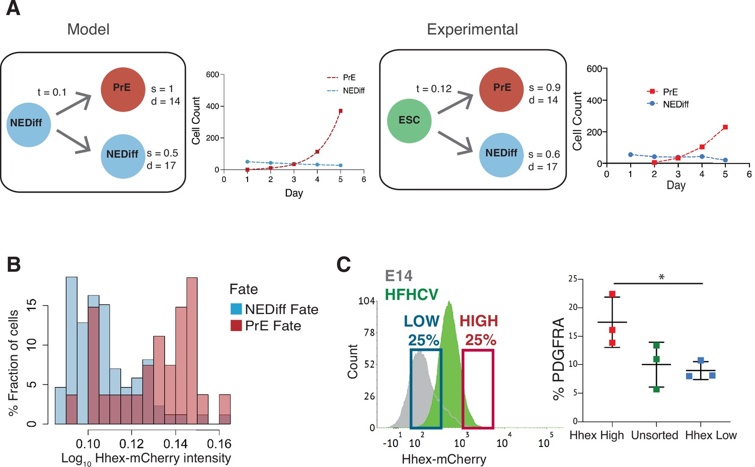 Transcriptional Heterogeneity And Cell Cycle Regulation As Central Determinants Of Primitive 8046
