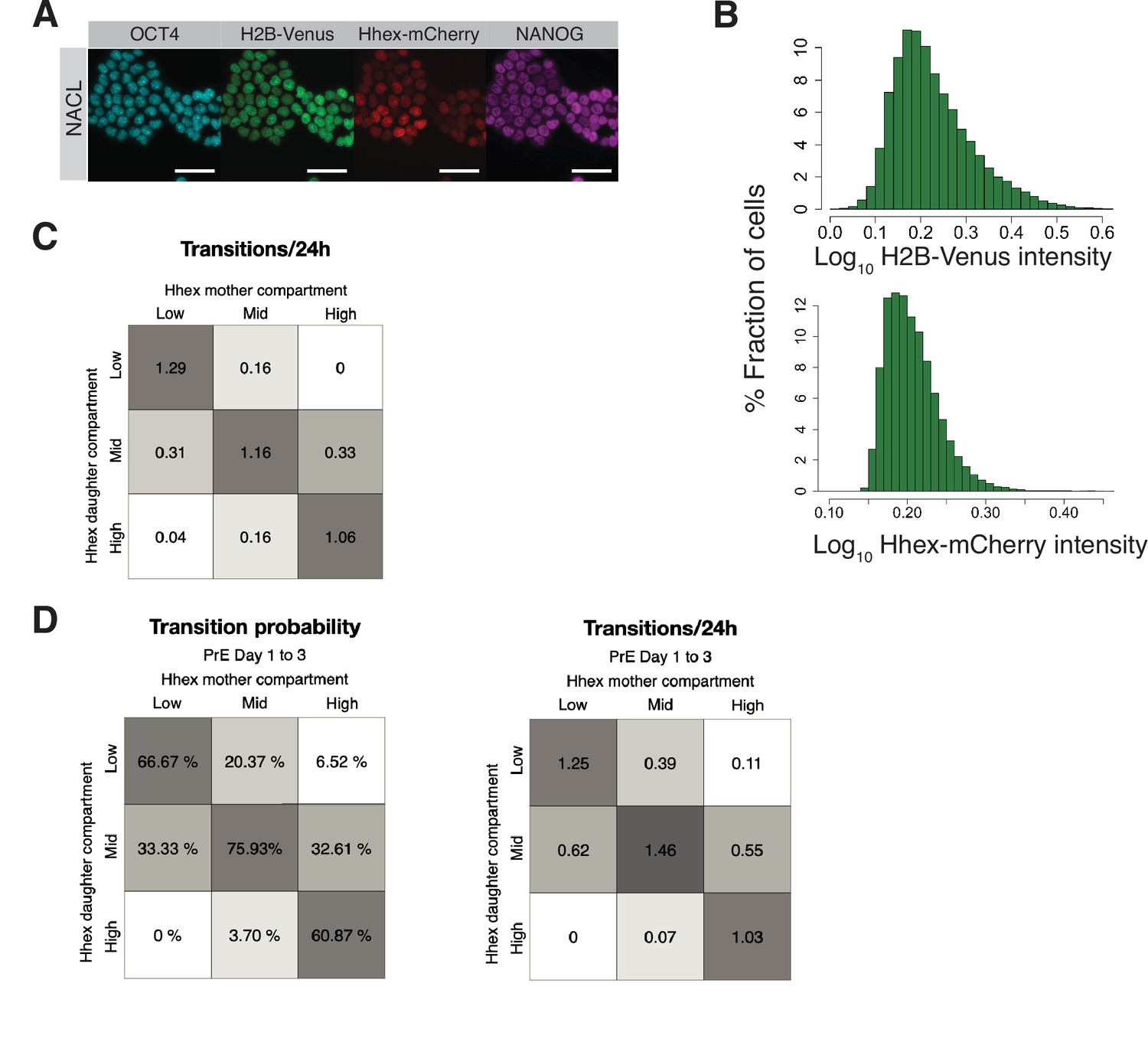 Figures And Data In Transcriptional Heterogeneity And Cell Cycle Regulation As Central 9221