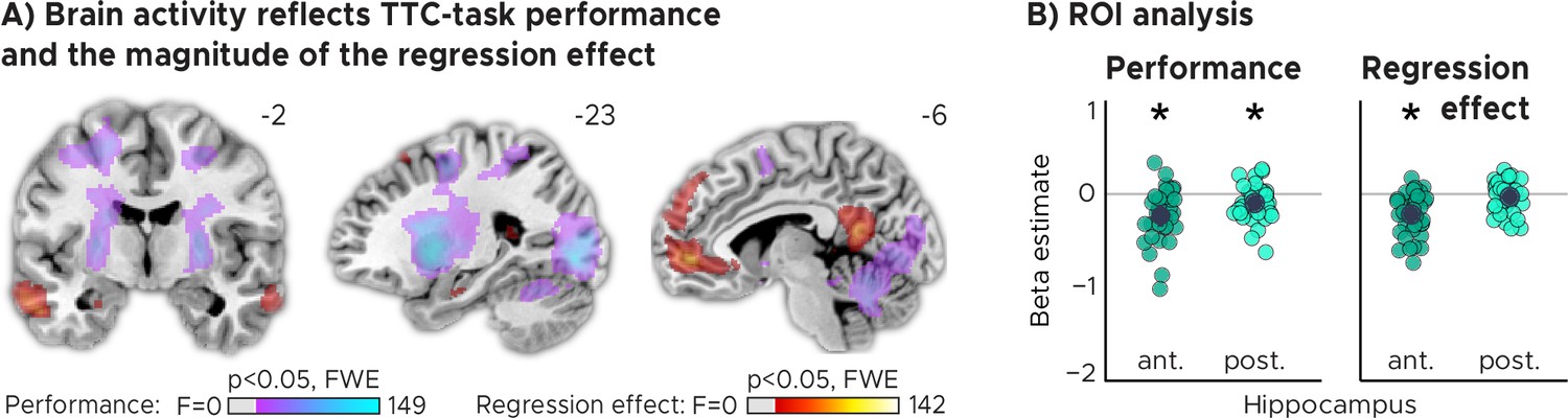 Rapid encoding of task regularities in the human hippocampus Rapid encoding of task regularities in the human hippocampus