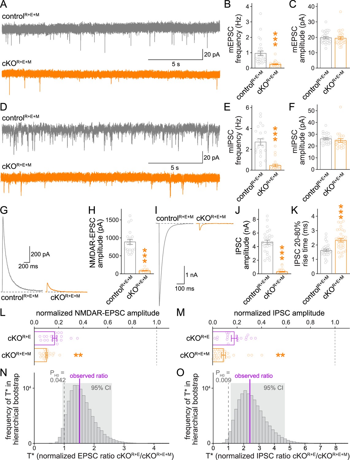 Munc13 supports fusogenicity of non-docked vesicles at synapses