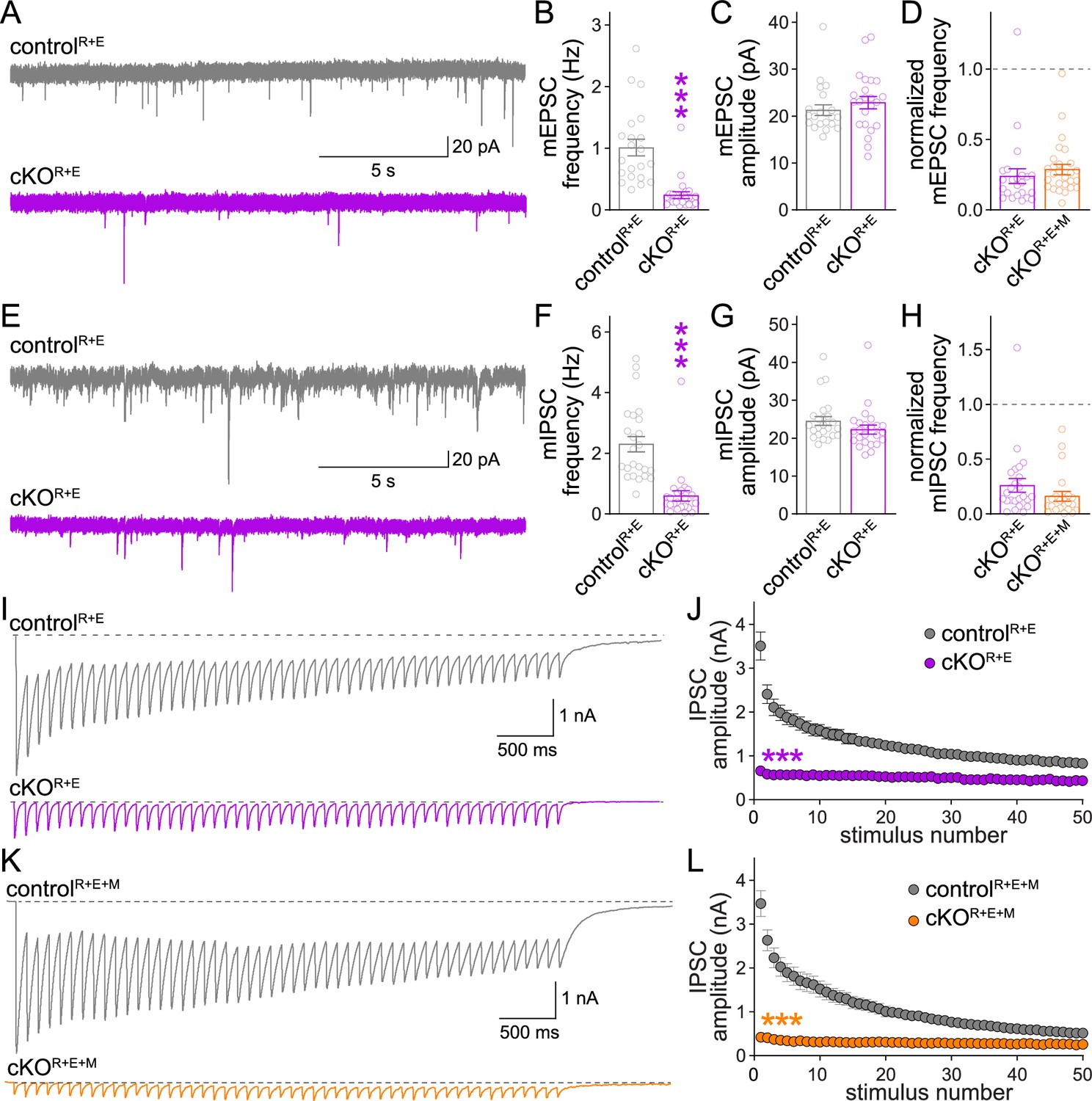 Munc13 supports fusogenicity of non-docked vesicles at