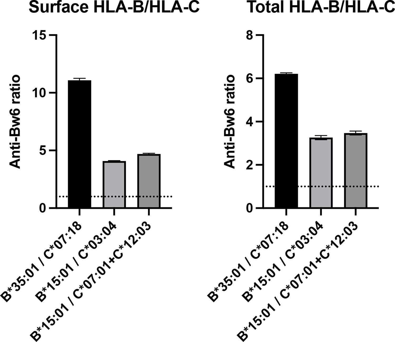 Endo-lysosomal assembly variations among human leukocyte antigen