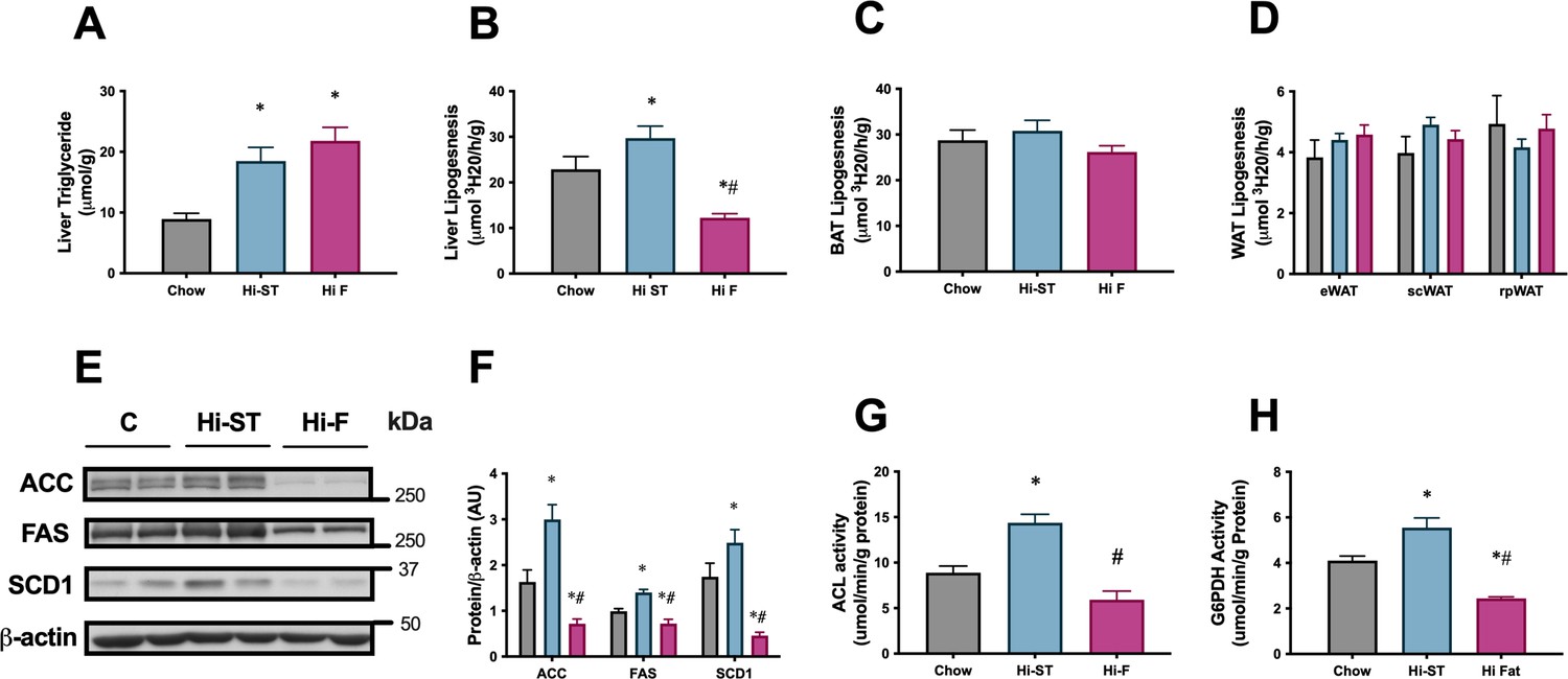 Insulin sensitivity is preserved in mice made obese by feeding a high ...