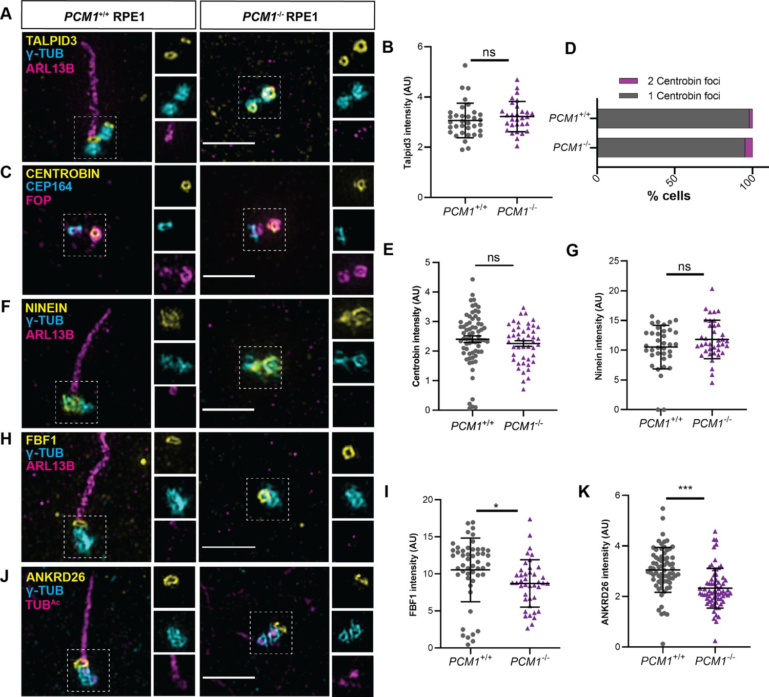 Figures And Data In Centriolar Satellites Expedite Mother Centriole