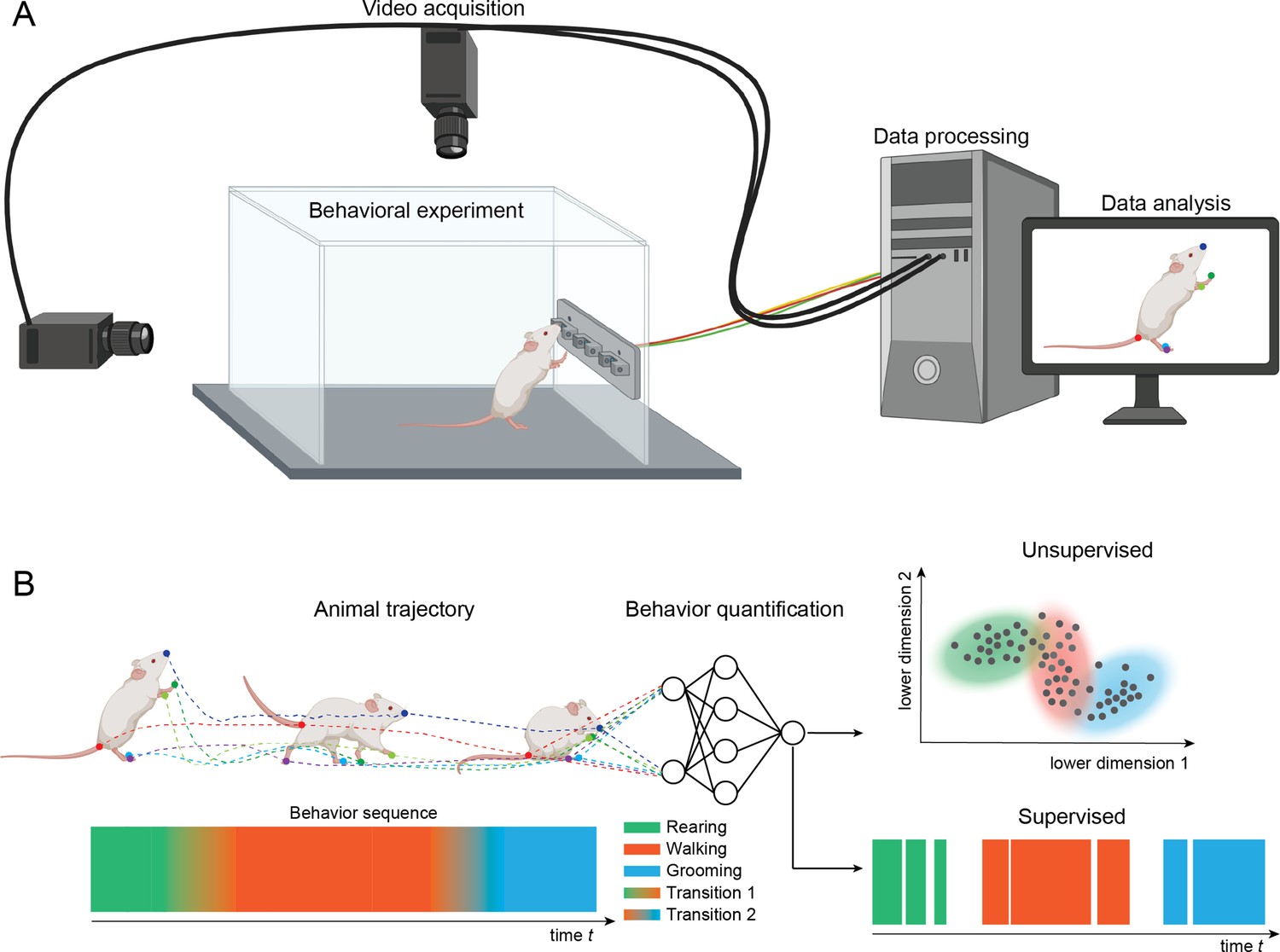 Shape and pose estimation results for an image sequence of own