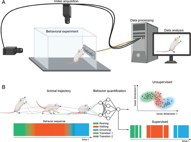 video analysis and research