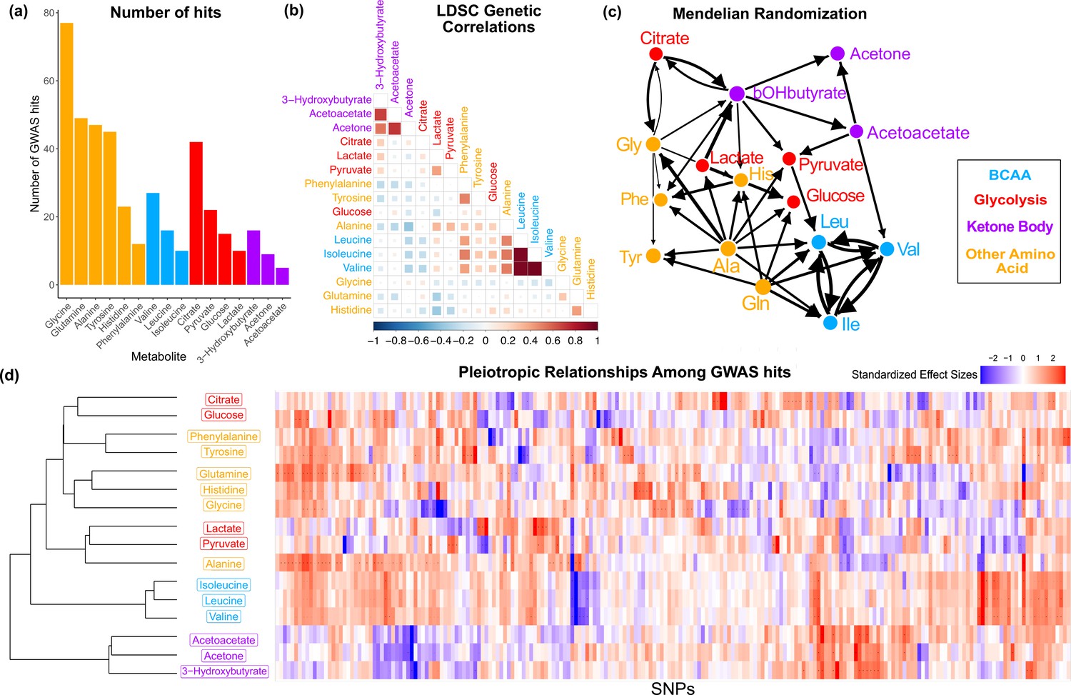 Integrative Analysis Of Metabolite Gwas Illuminates The Molecular Basis Of Pleiotropy And 1329