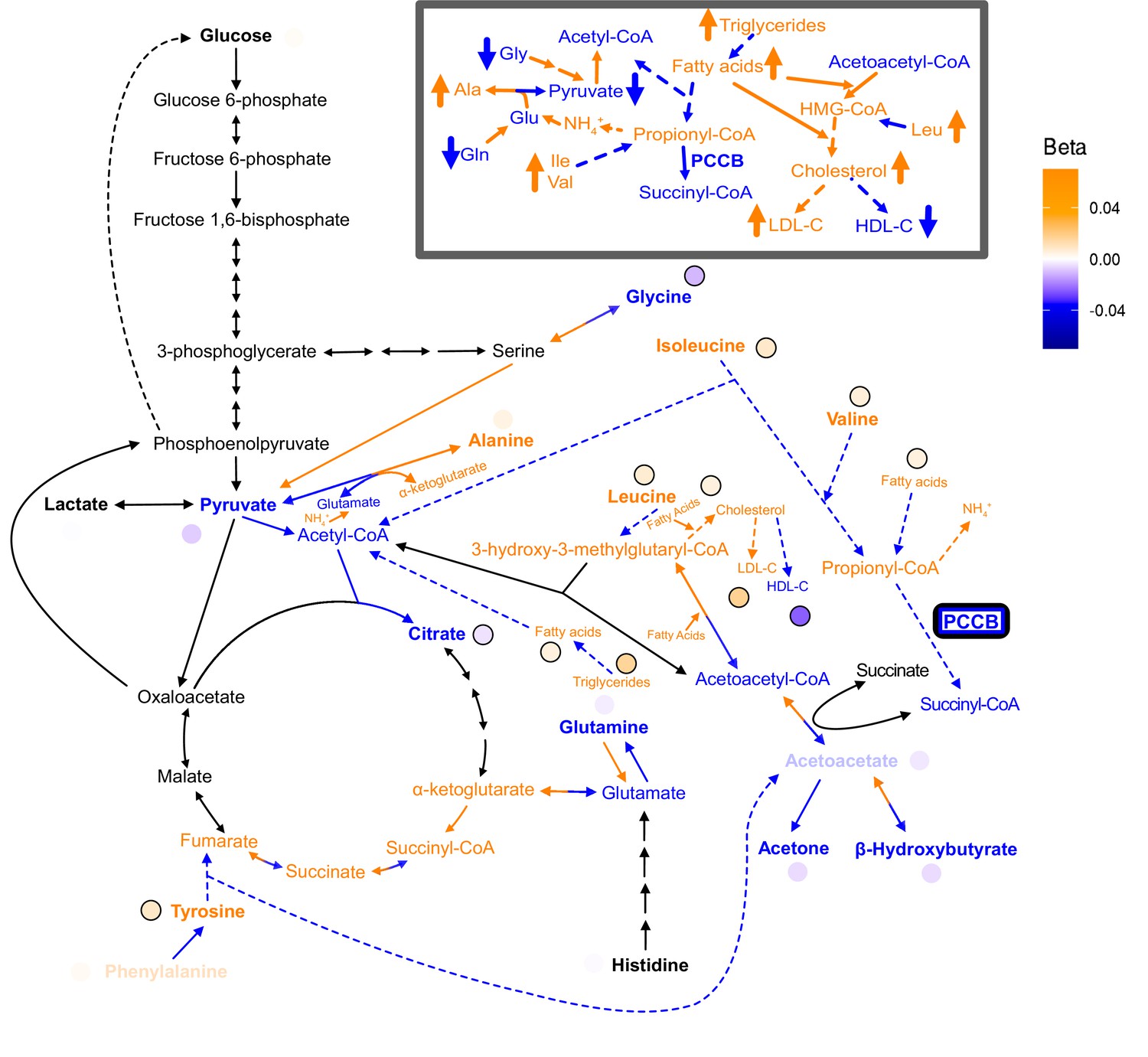 Figures And Data In Integrative Analysis Of Metabolite Gwas Illuminates The Molecular Basis Of 5223