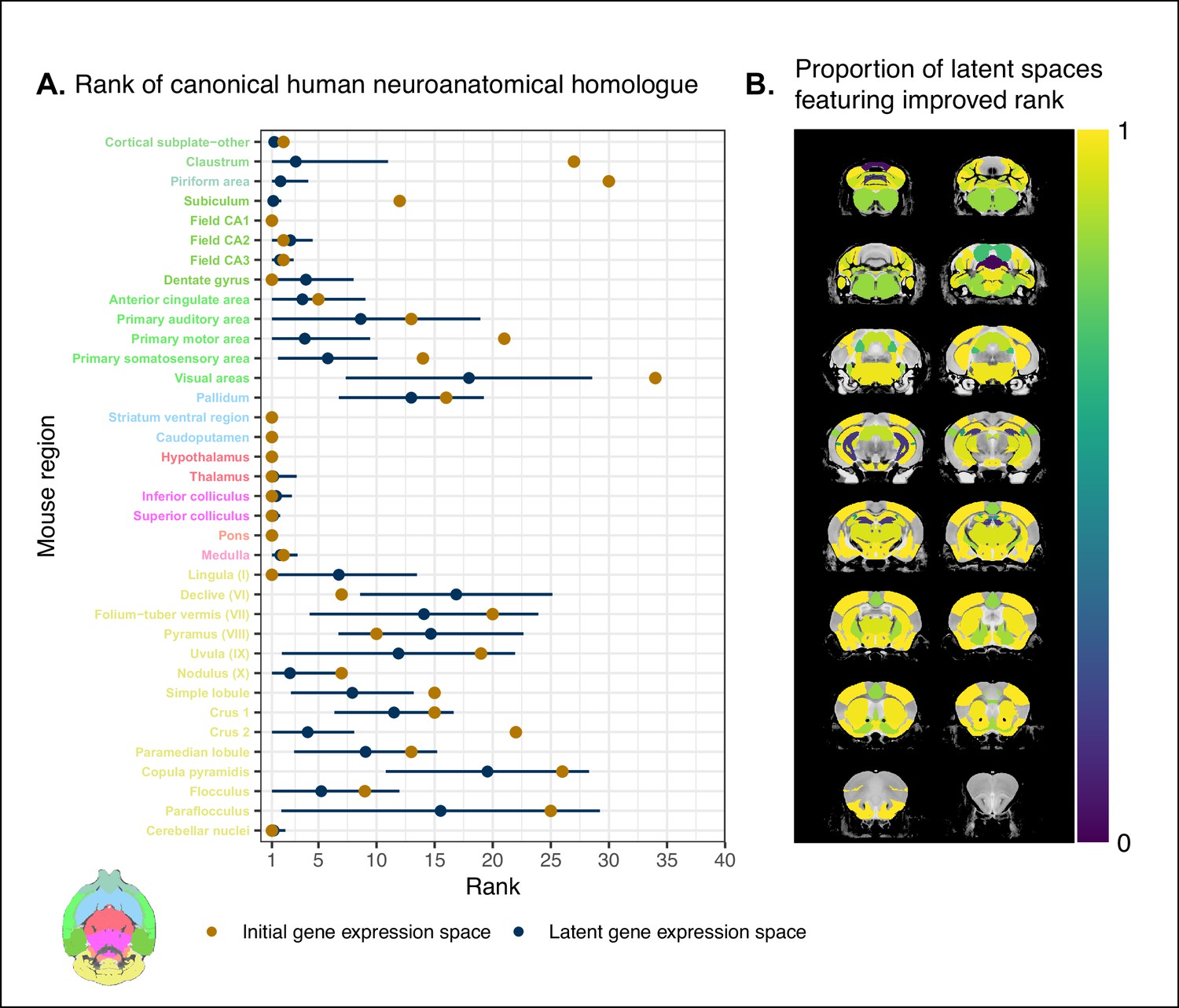 Ambitious research yields new atlas of human brain cells