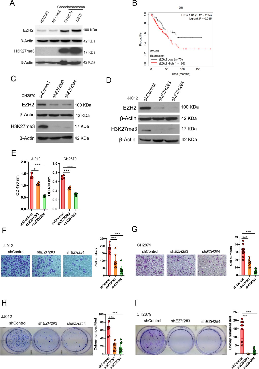 EZH2/hSULF1 axis mediates receptor tyrosine kinase signaling to shape ...