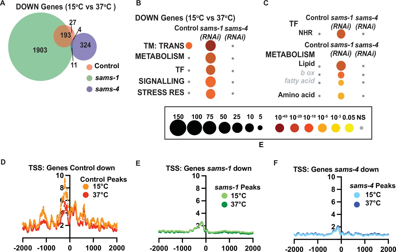 Figures And Data In S Adenosylmethionine Synthases Specify Distinct