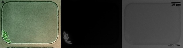 posterframe for video