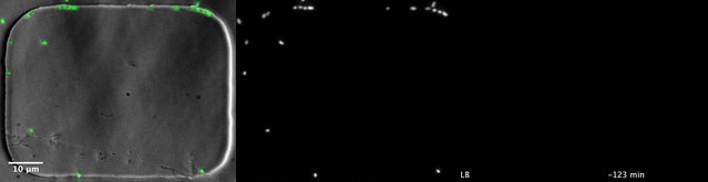 posterframe for video