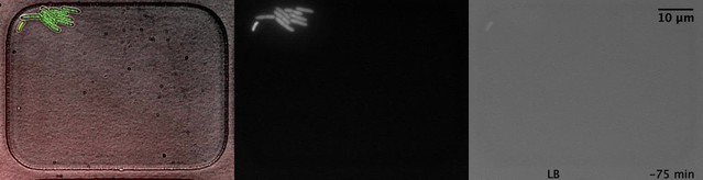 posterframe for video