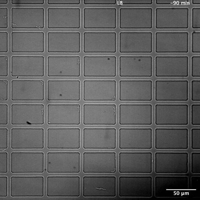 posterframe for video
