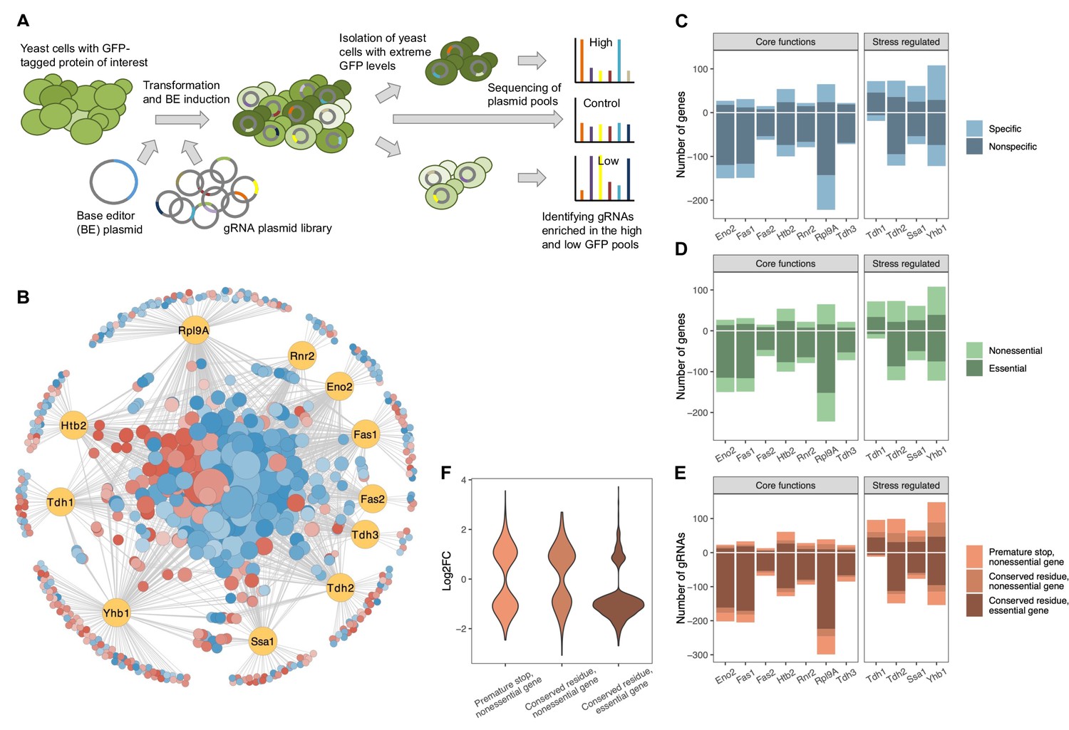 Assigning functionality to cysteines by base editing of cancer