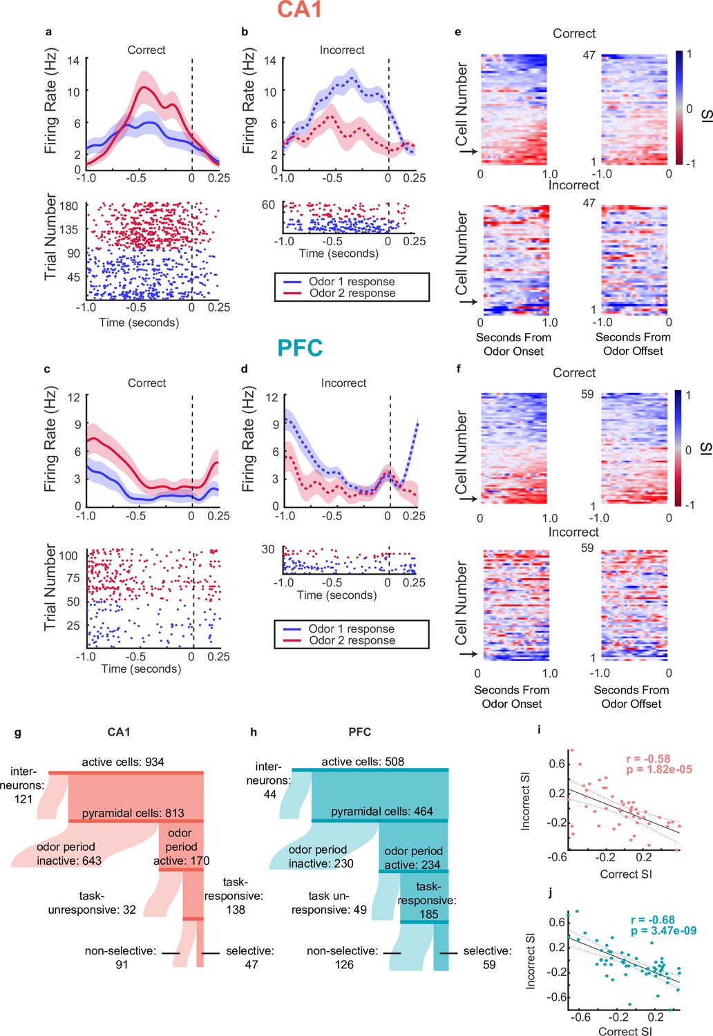 Frontiers  New insights on single-neuron selectivity in the era