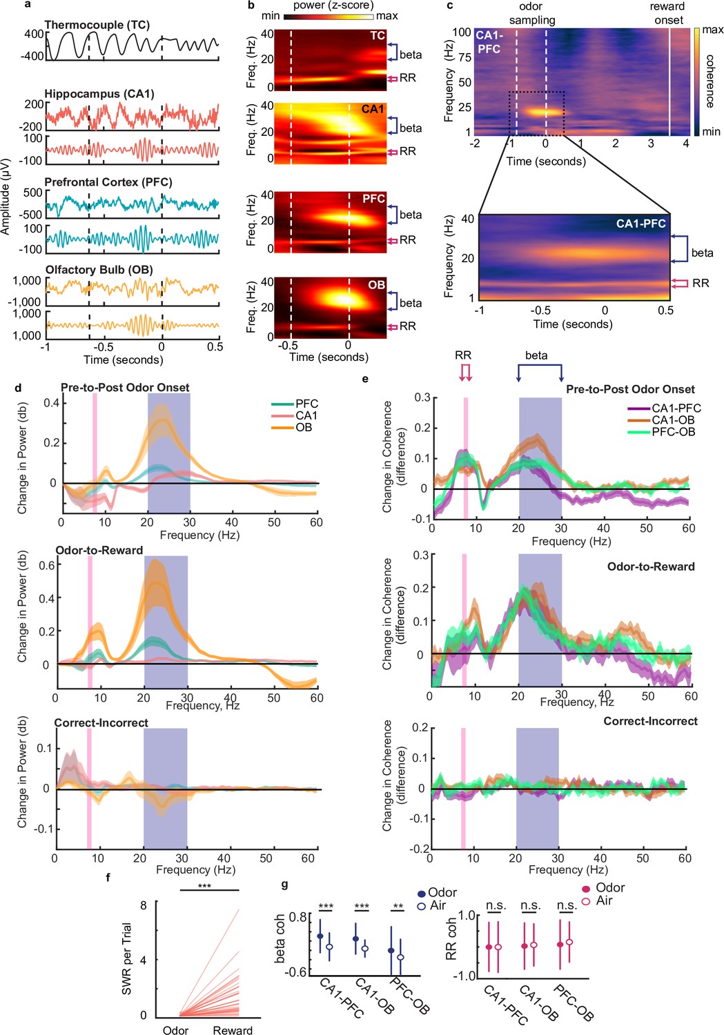 Figures and data in Rhythmic coordination and ensemble dynamics in the ...