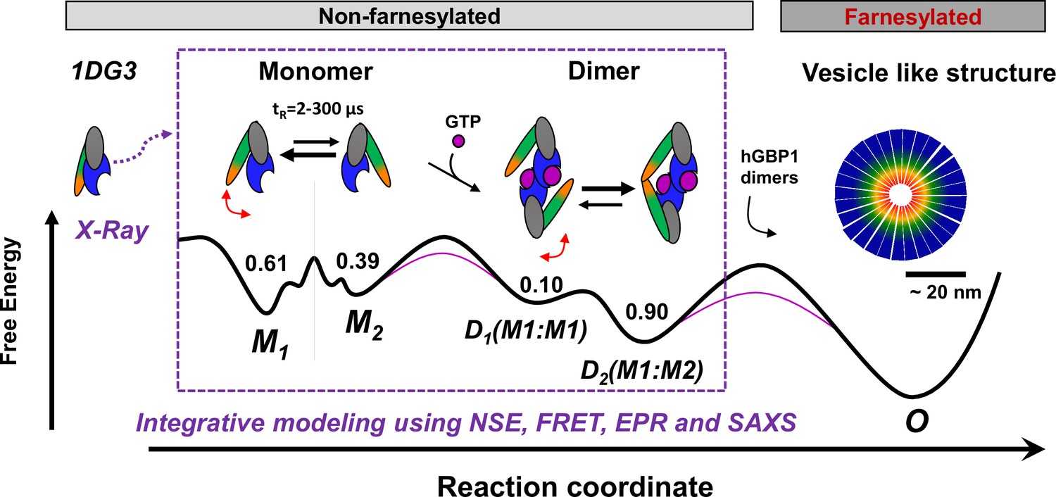 Integrative Dynamic Structural Biology Unveils Conformers, 42% OFF