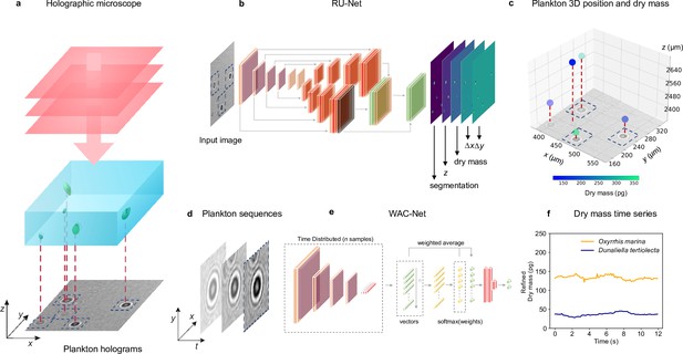 Microplankton life histories revealed by holographic microscopy and ...