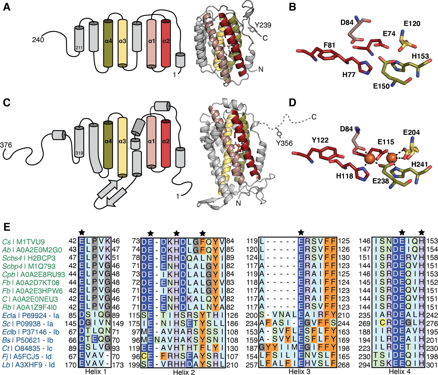 Figures And Data In Comprehensive Phylogenetic Analysis Of The ...