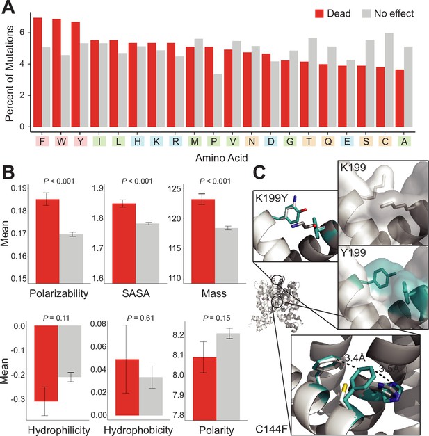 Deep Mutational Scanning And Machine Learning Reveal Structural And ...