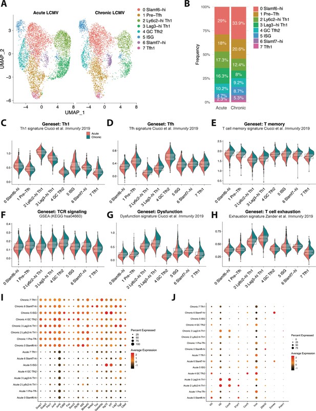 Delineating The Transcriptional Landscape And Clonal Diversity Of Virus