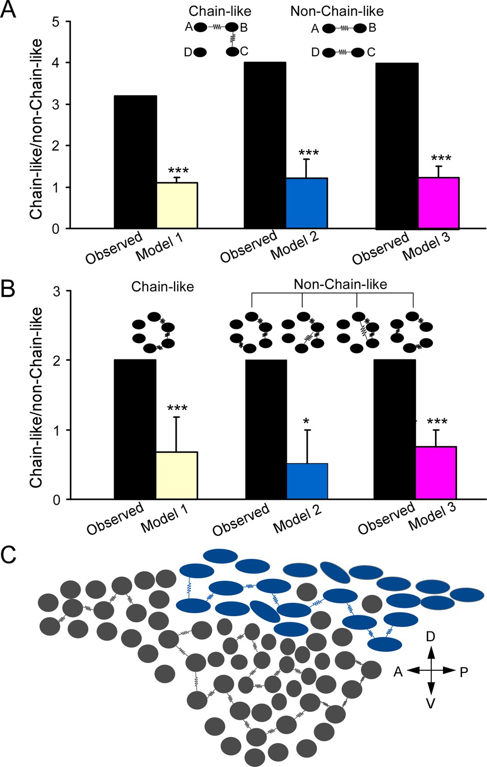 Cellular composition and circuit organization of the locus