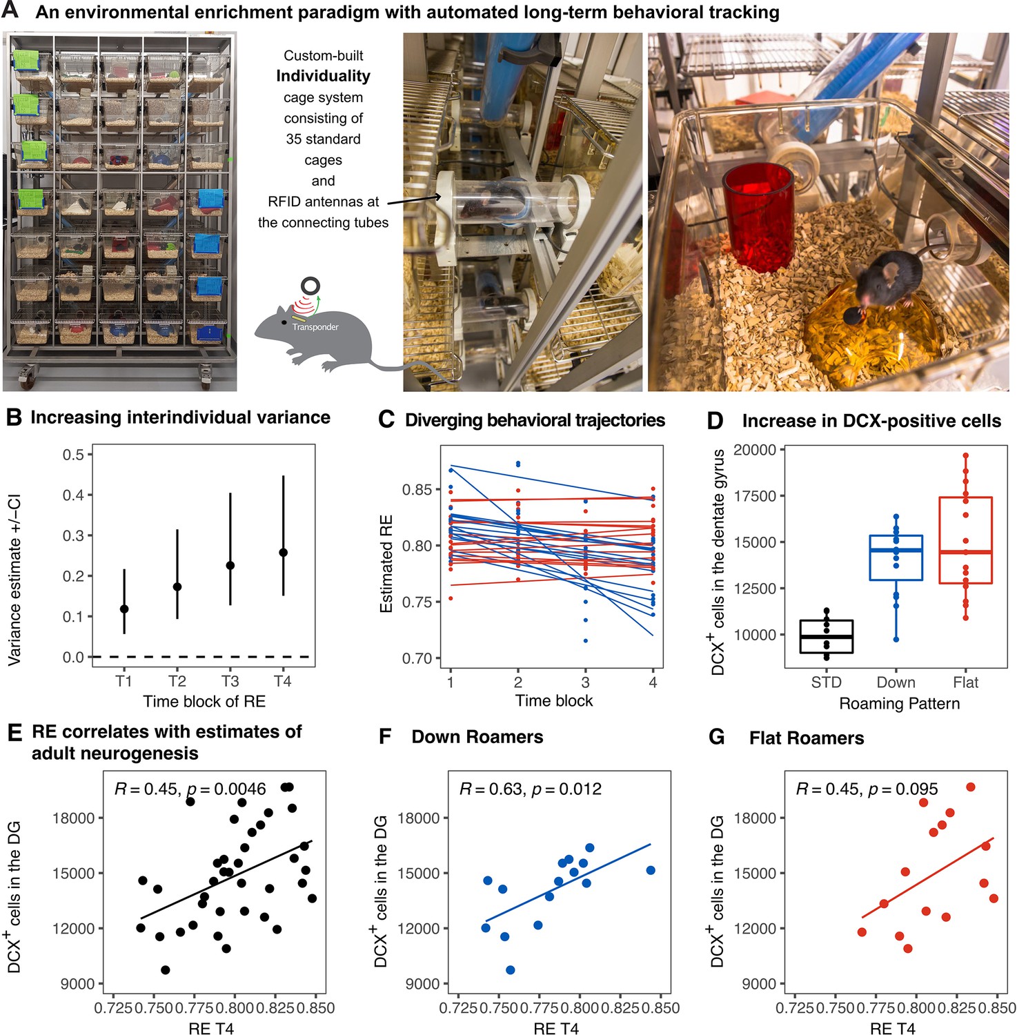 Individual behavioral trajectories shape whole-brain connectivity