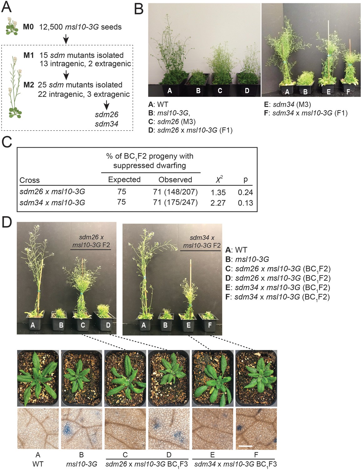 Unbiased proteomic and forward genetic screens reveal that