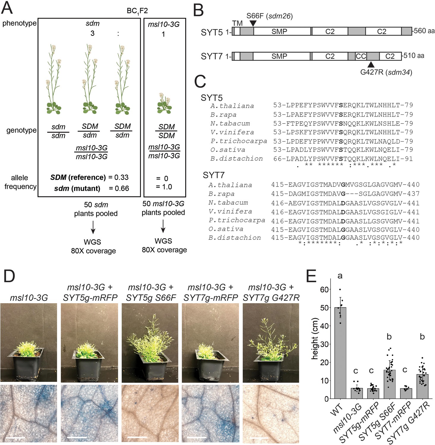 Unbiased proteomic and forward genetic screens reveal that