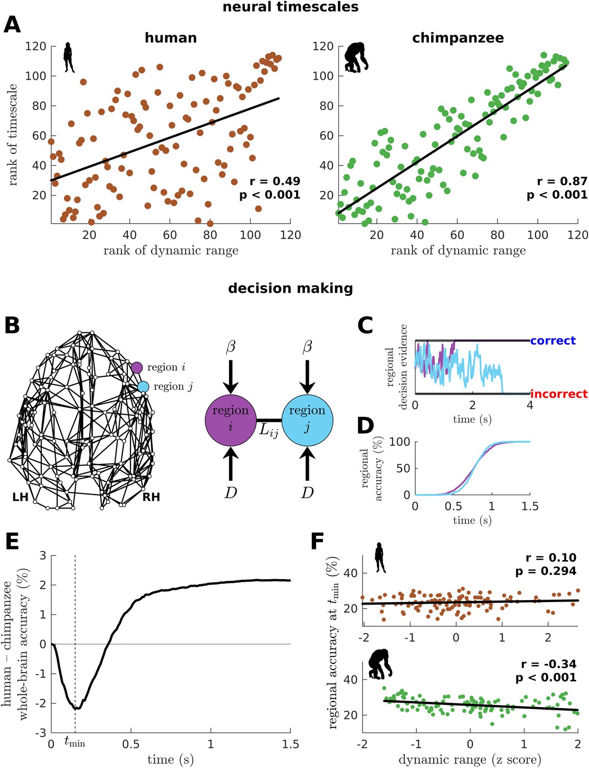 Using neuroimaging genomics to investigate the evolution of human brain  structure