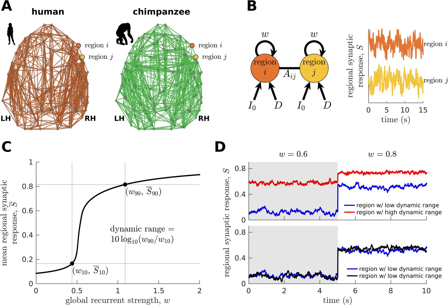 Evolutionary Shaping Of Human Brain Dynamics Elife