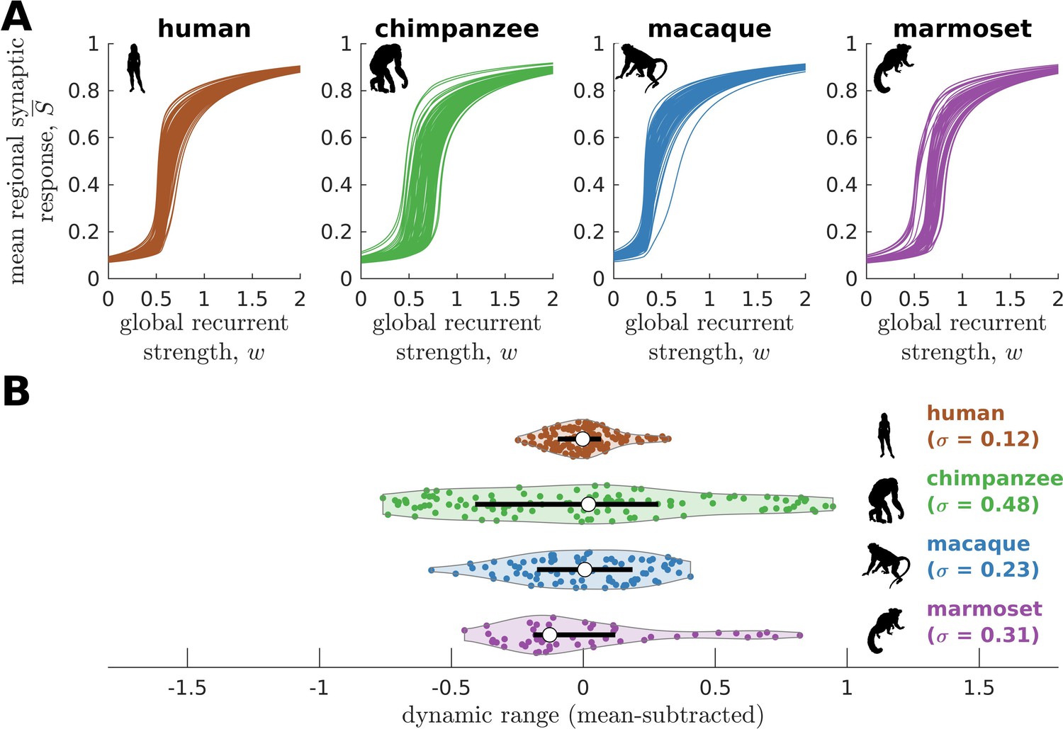 Evolutionary Shaping Of Human Brain Dynamics | ELife