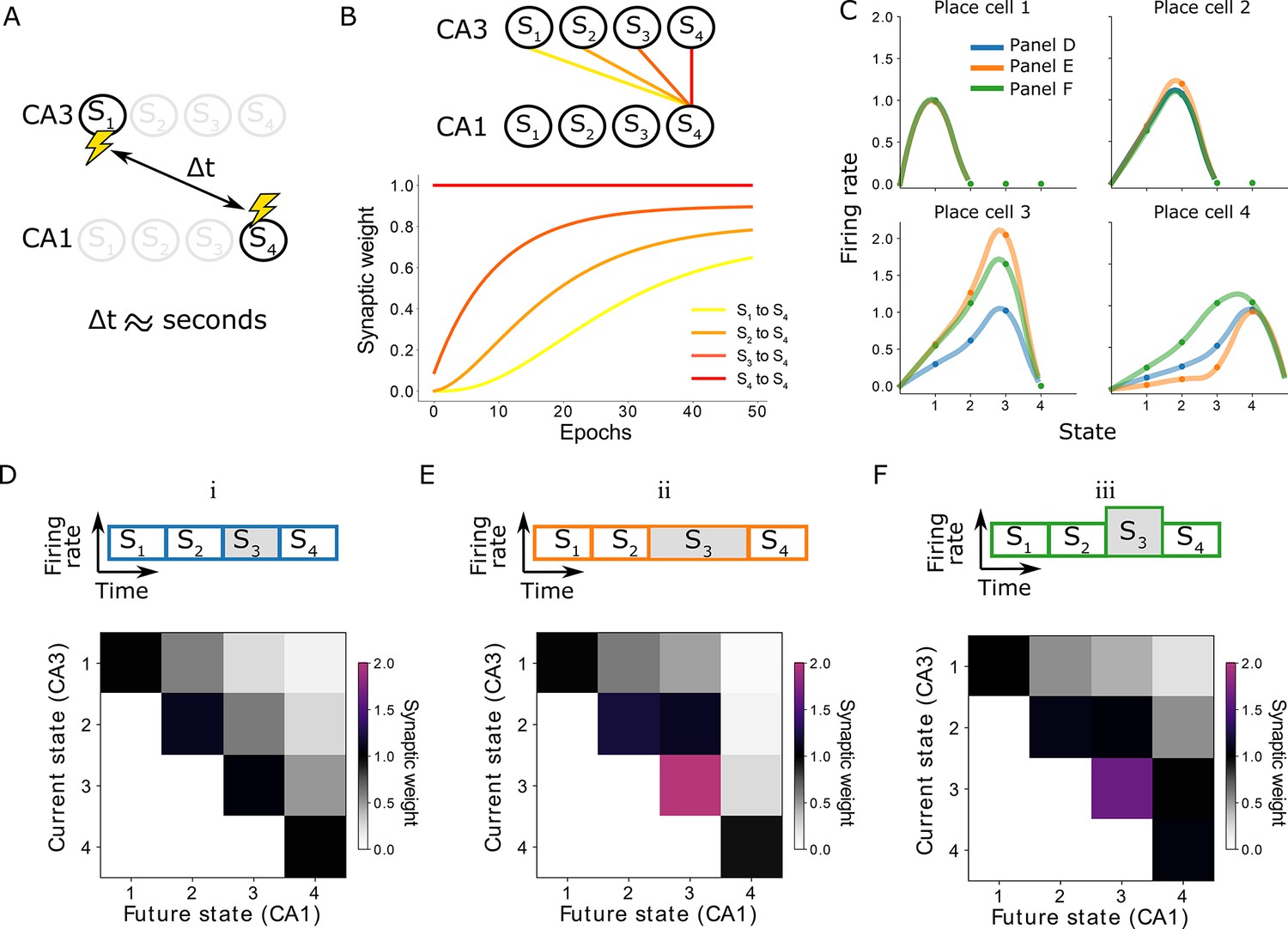 Learning predictive cognitive maps with spiking neurons during behavior ...