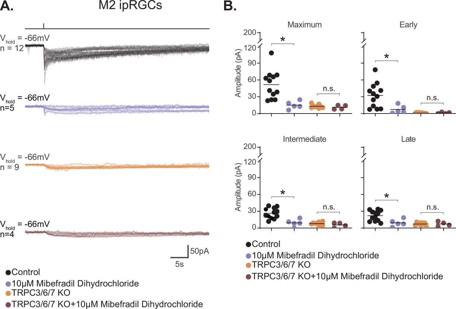 Frontiers  Intrinsically Photosensitive Retinal Ganglion Cells of the  Human Retina