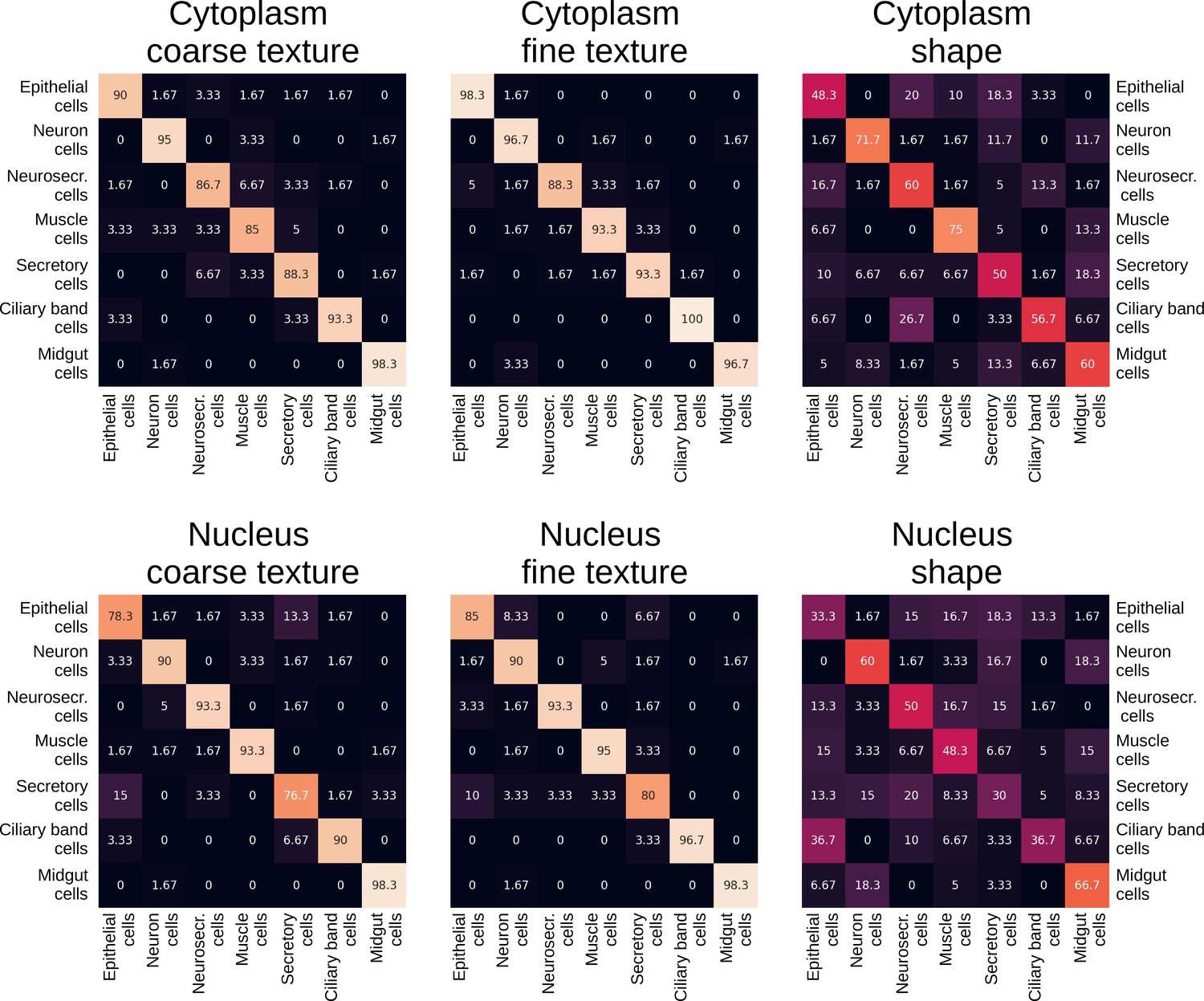 figures-and-data-in-morphofeatures-for-unsupervised-exploration-of-cell