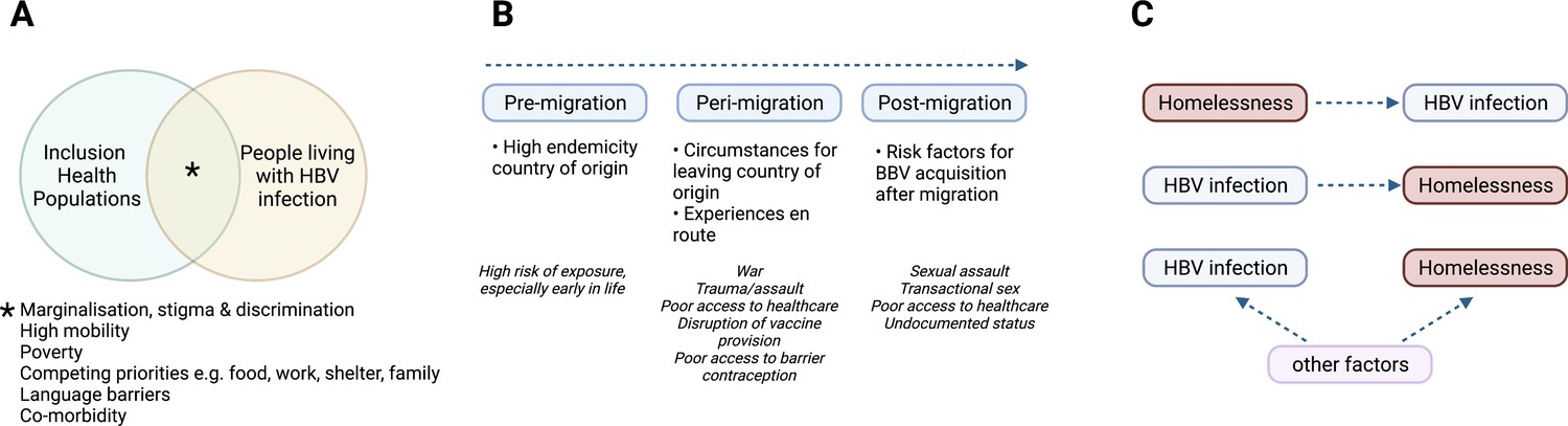 The Forgotten People: Hepatitis B Virus (HBV) Infection As A Priority ...