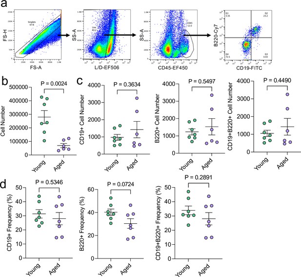 Figures and data in The meningeal transcriptional response to traumatic ...