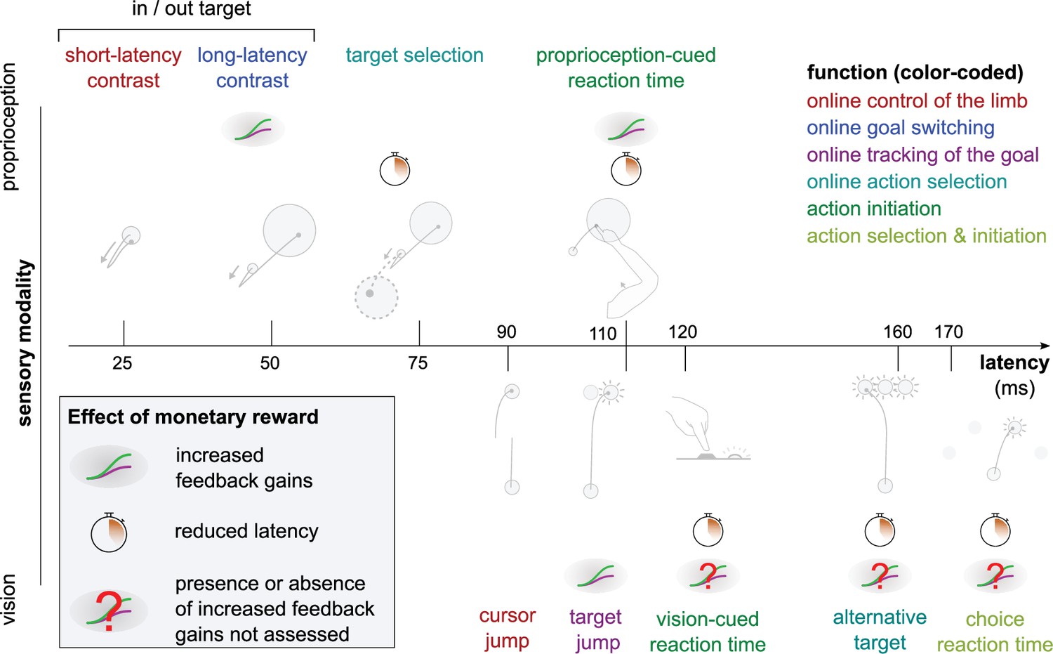 Figures And Data In Sensorimotor Feedback Loops Are Selectively Sensitive To Reward Elife