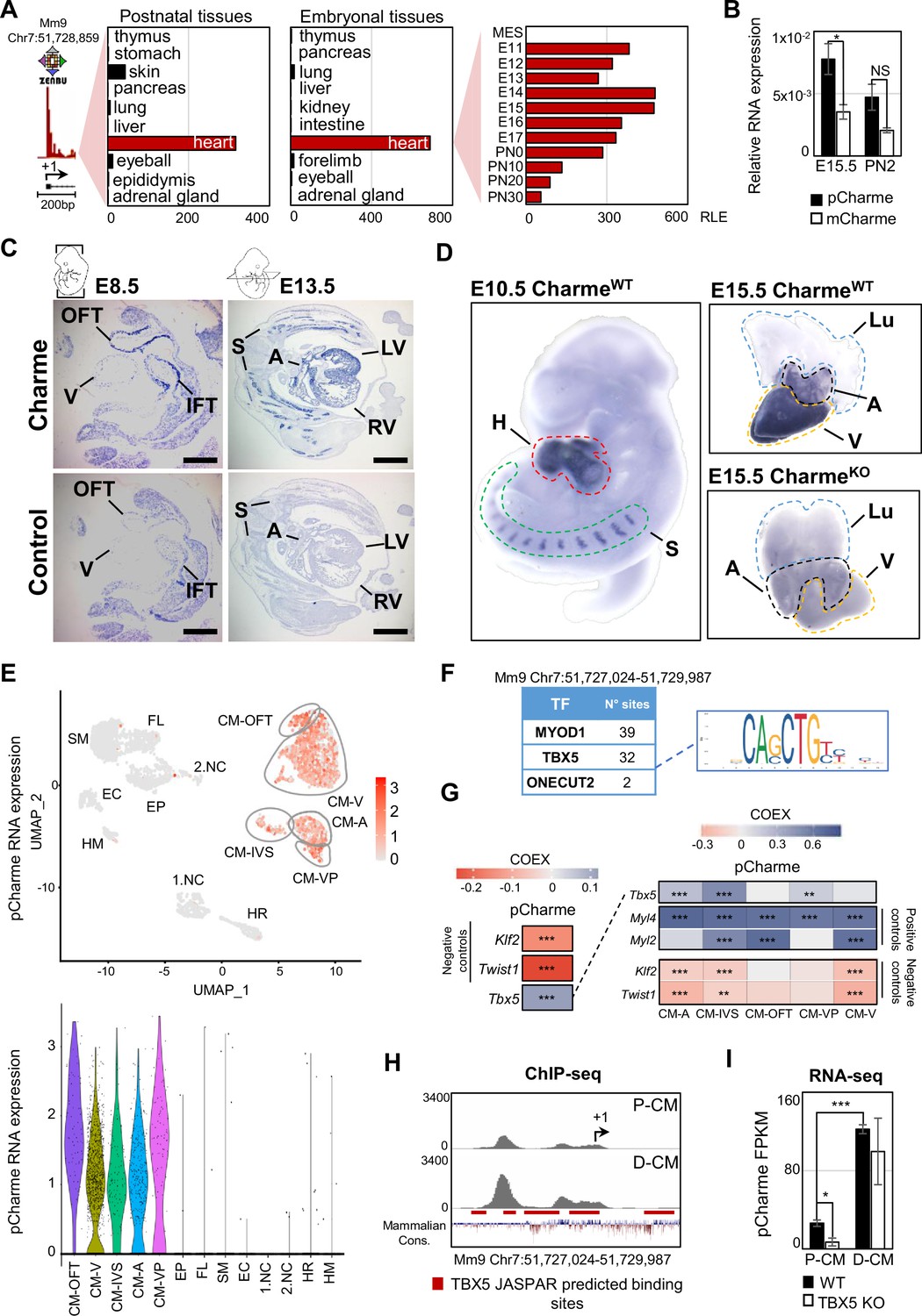 Figures And Data In The Long Noncoding Rna Charme Supervises