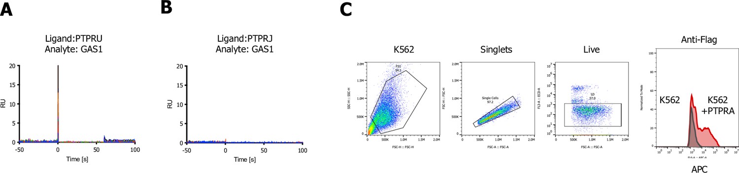 Figures and data in Identification of orphan ligand-receptor ...