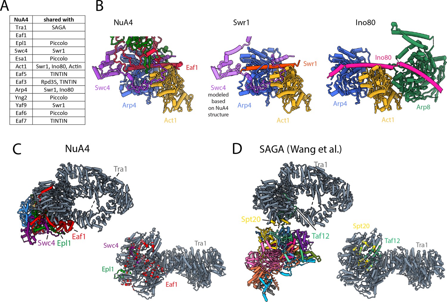 Structure And Flexibility Of The Yeast NuA4 Histone Acetyltransferase ...