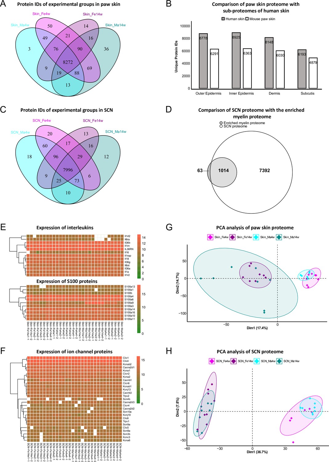 Comparison of mouse models reveals a molecular distinction between