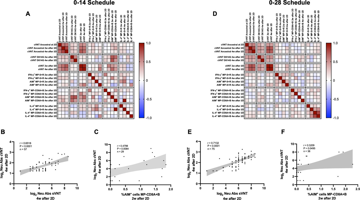 Differences in the immune response elicited by two immunization ...