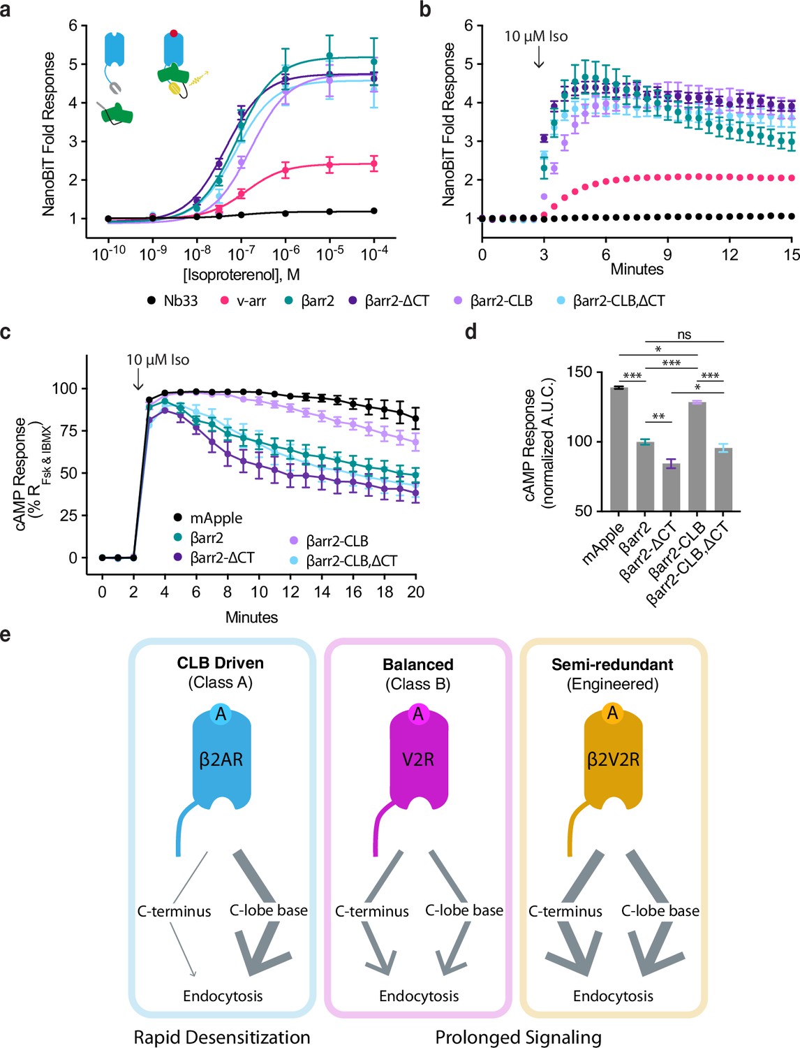 Discrete GPCR-triggered endocytic modes enable β-arrestins