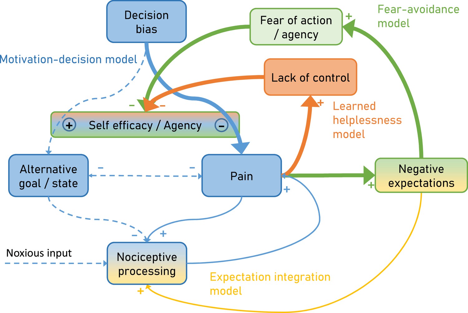 experiment pain model