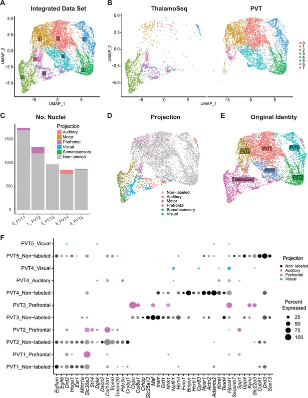 Molecular and spatial profiling of the paraventricular nucleus of the ...