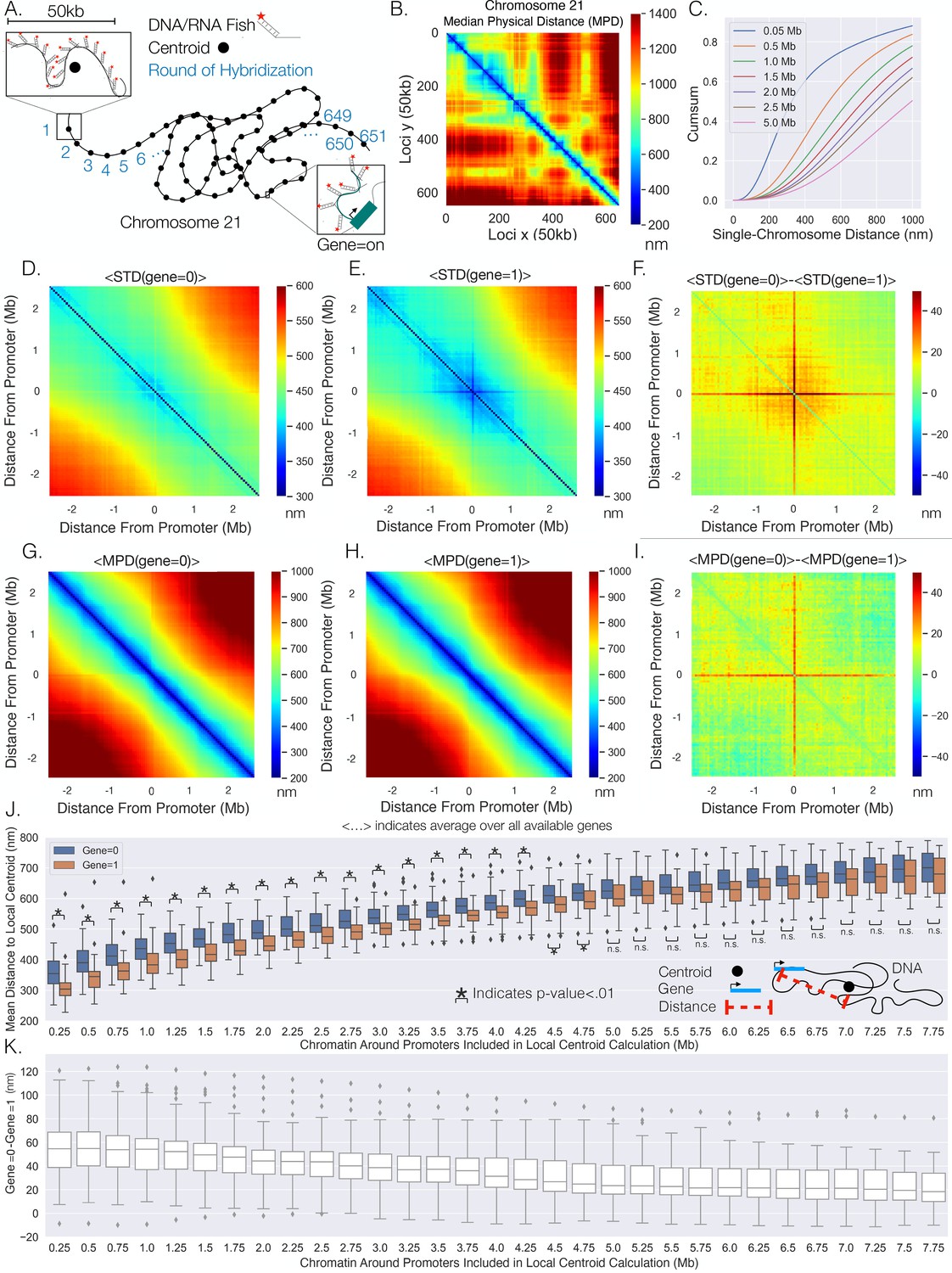 Figures And Data In Synthetic Analysis Of Chromatin Tracing And Live ...